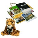 Adopt a Leopard