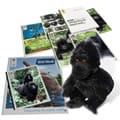 Adopt a Mountain Gorilla