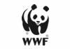 WWF WWF
