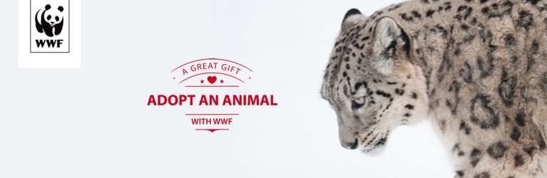 WWF Adopt a Snow Leopard | Adopt an Animal from £3.00 a month