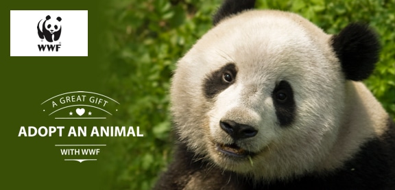 Wwf adopt shop an animal