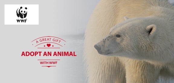 Animalplanet com adopt shop 2019