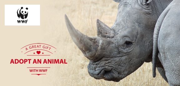 Adopt a Rhino