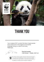 Adopt a Panda Certificate