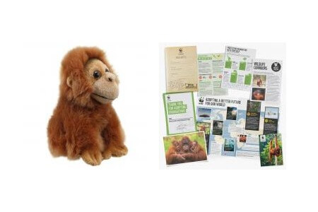 Adopt an Orangutan Gift Pack