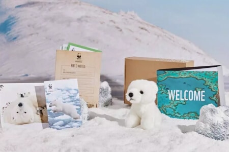 Adopt a Polar Bear Gift Pack